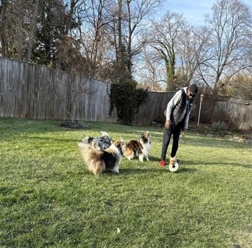 Caring staff at doggy daycare