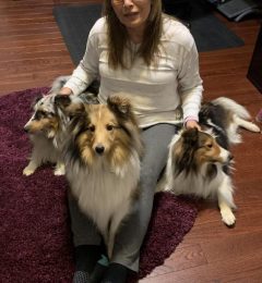 Woman sitting on rug with three Shelties